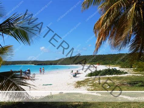 Top 5 Favorite Vieques Beaches | Puerto Rico & Caribbean Travel News