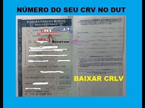 Como Descobrir O Crv Do Veiculo - Como consultar CRV de um veículo e baixar CRLV no PC - YouTube
