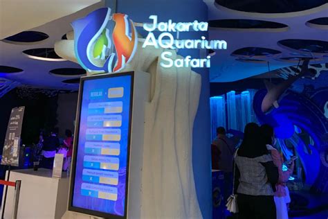 Jakarta Aquarium Safari Lokasi Jam Buka Dan Harga Tiket