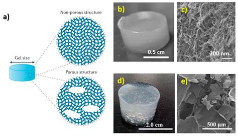 Micromachines Free Full Text Porous Alginate Scaffolds Assembled Using Vaterite Caco3 Crystals