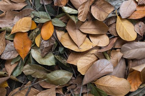 Multicolored Bontainer · Free Stock Photo
