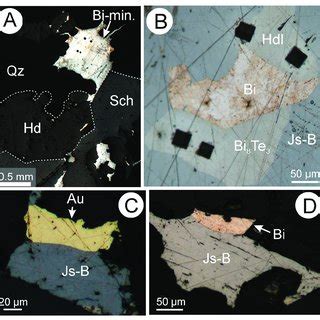 Reflected Light Photomicrographs Showing Aspects Of Specimen H163b