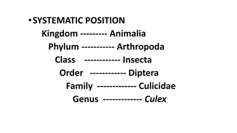 CULEX MOSQUITOES SYSTEMATIC CLASSIFICATION MORPHOLOGY LIFE CYCLE