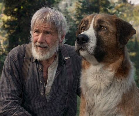 That Harrison Ford Dog Movie Is Hitting Disney+ Early (And It's Pretty ...