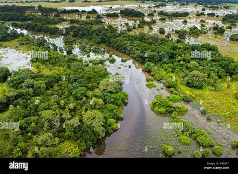 Aquidauana Ms Cheia No Pantanal Sul Cheia No Pantanal Pantanal