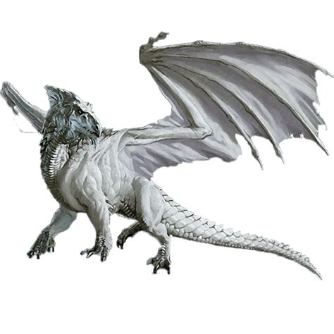 White Dragon Species In Numidius World Anvil