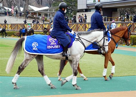 2月13日東京競馬★誘導馬★ショウナンライズ★ミライヘノツバサ★マイネルホウオウ★アルバリサ 公式：黒澤ひかりのキラキラ日記～magic