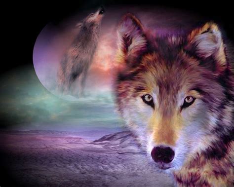 Free Wolf Wallpapers - Wallpaper Cave