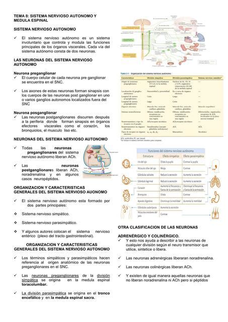 TEMA 8 SISTEMA NERVIOSO AUTONOMO Gabriela Majano UDocz