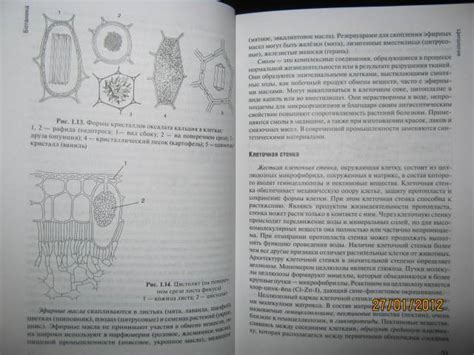 Книга: Ботаника. Учебник - Зайчикова, Барабанов. Купить книгу, читать ...