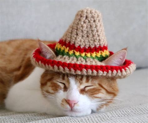 Cat Sombrero Sombrero For Cats Sombrero Hat With Ear Holes Etsy