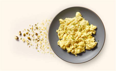 European Commission Just Egg Mung Bean Protein Novel Food