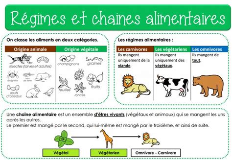 Affichages Regimes Et Chaines Alimentaires R Gime Alimentaire Des