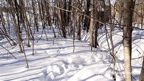 Chav Lad Jerking Off His Huge Dick Gay Twink Porn Feat Alexrusfun By Faphouse Xhamster