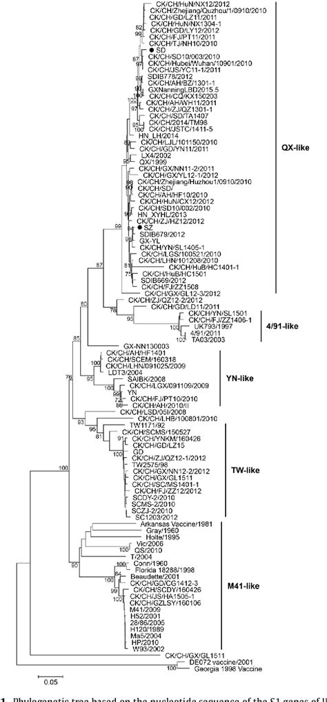 Figure 1 From Analysis Of Antigenicity And Pathogenicity Reveals Major