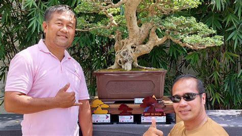 BONSAI NG AKING LODI ANG NAG BEST IN SHOW SA ALL NEW TREE S NG BONSAI