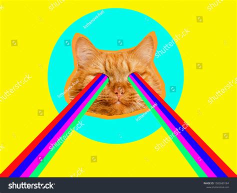 Laser Cat Eyes