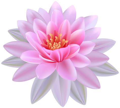 Free Water Lily Cliparts, Download Free Water Lily Cliparts png images ...