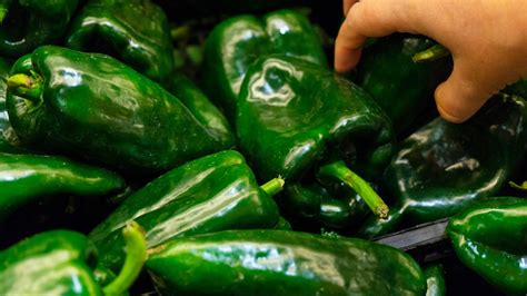 What Do Poblano Peppers Taste Like Everything You Need To Know