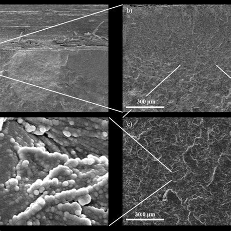 Sem Micrograph Of Fracture Surface After Mode 1 Fracture Testing