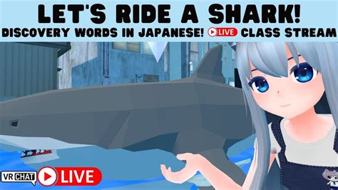 World First Japanese Class In VR Chat Same Same Shark Riding YouTube