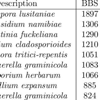Counts of transcripts mapping to viruses (V) and bacteria (B) sorted ...