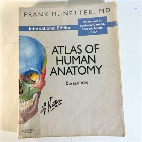 Atlas Of Human Anatomy 6 Edition Frank H Netter MD Shopee Thailand