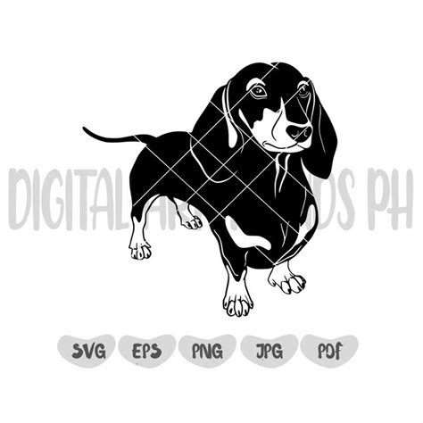 Dachshund Dog Cut Files Cameo Silhouette Svg Dachshund Inspire