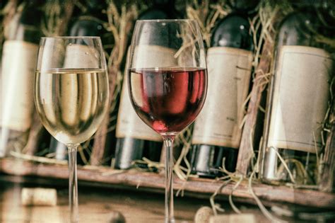 Destinos Imperdíveis na Europa para os Amantes de Vinho