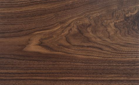 types  walnut wood  pictures homenish