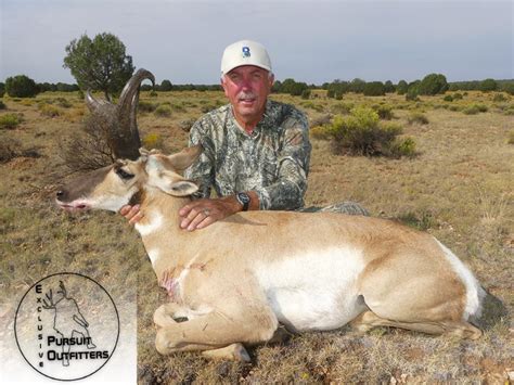 Arizona Guided Trophy Pronghorn Antelope Hunts Exclusive Pursuit