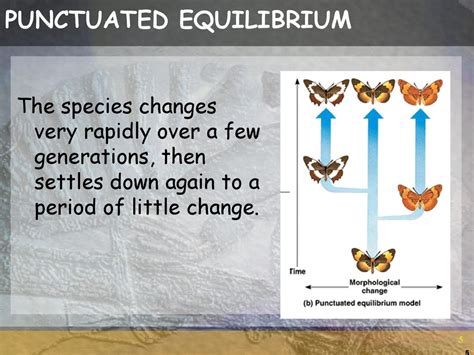 Rates Of Evolution Gradualism And Punctuated Equilibrium Are Two Ways