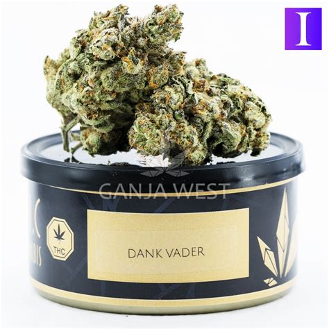 Notorious THC Craft Dank Vader 7 Grams Ganja West Online