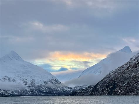 Alla Prima Lingerie Swim European Designer Lingerie And Swimwear In San Francisco