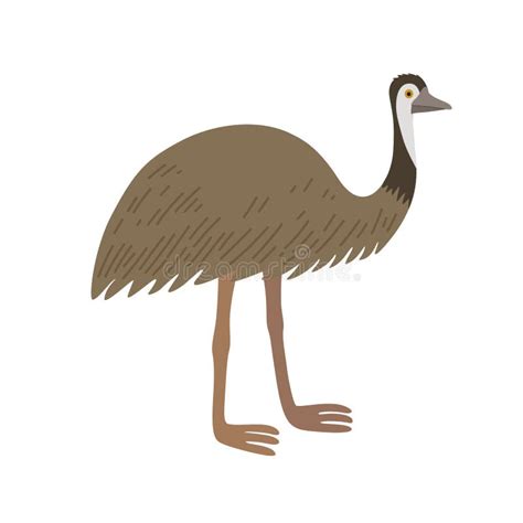 Dessin Anim Ostrich Emu Isol Sur Fond Blanc Oiseau De La Faune