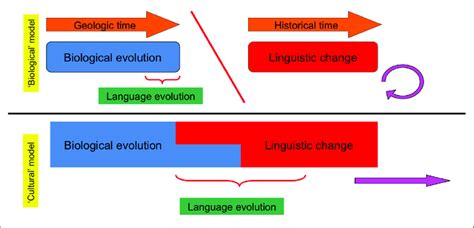 Two Models Of The Relation Between Language Evolution And Language