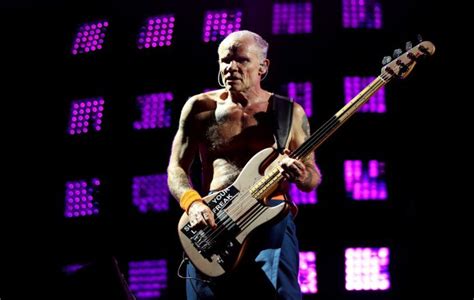 Flea Do Red Hot Chili Peppers Vai Transmitir Novo Podcast Convidados Especiais