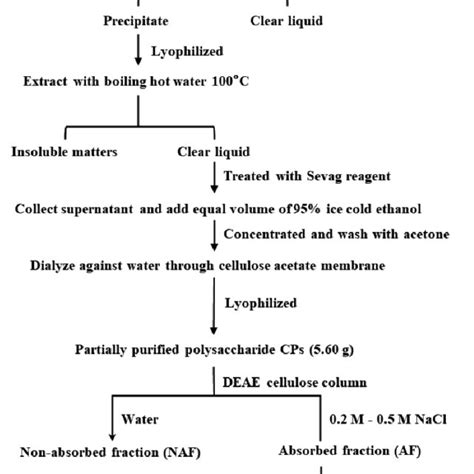 Extraction And Fractionation Of Polysaccharides From P Djamor Var Roseus Download
