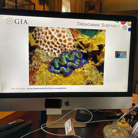 GIA Education | Carlsbad CA