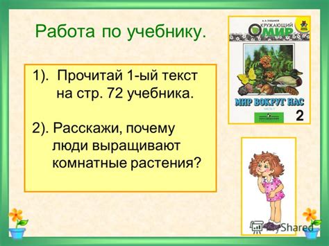 Презентация на тему: "Мир комнатных растений Окружающий мир 2 класс ...
