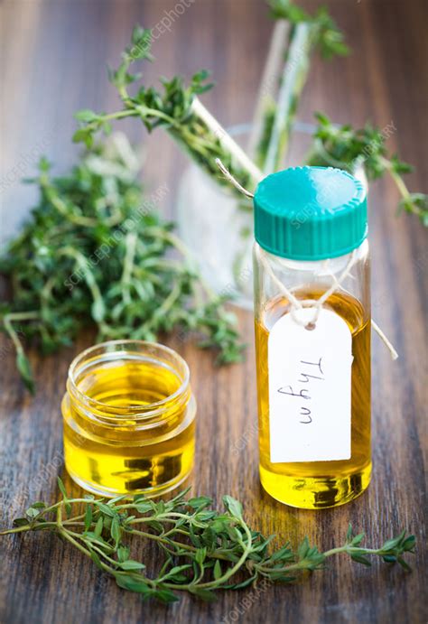 Essential oil of thyme (Thymus vulgaris) - Stock Image - C034/8167 ...