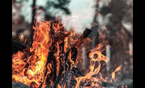 Учёные выяснили, что дым от лесных пожаров повлиял на заболеваемость ...