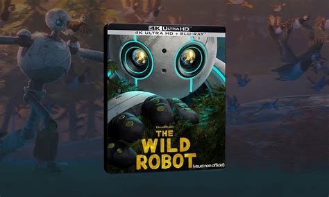 Le Robot Sauvage 4k Steelbook Les Offres ChocoBonPlan