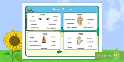 Somer Sintuie Woordmat Teacher Made Twinkl