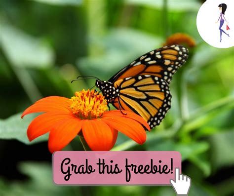 Free Butterfly Garden Starter Set Catchyfreebies