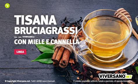 Tisana Brucia Grassi Miele E Cannella La Ricetta E Le Propriet