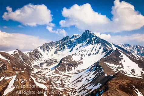 Sunny in Wilderness: Summer in Chugach Mountains, Alaska