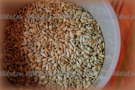 Торт из печенья и шоколада без выпечки "Априори": 10 фото в рецепте