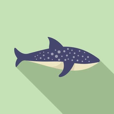 Whale Shark Pattern Vector Art, Icons, and Graphics for Free Download