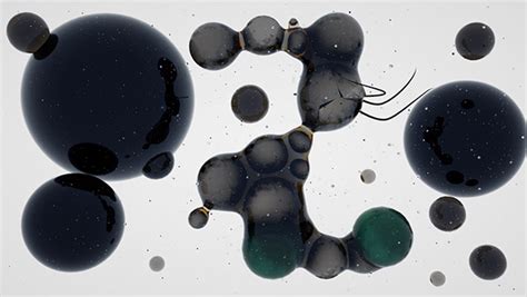 NUMBERS v7 :: Behance